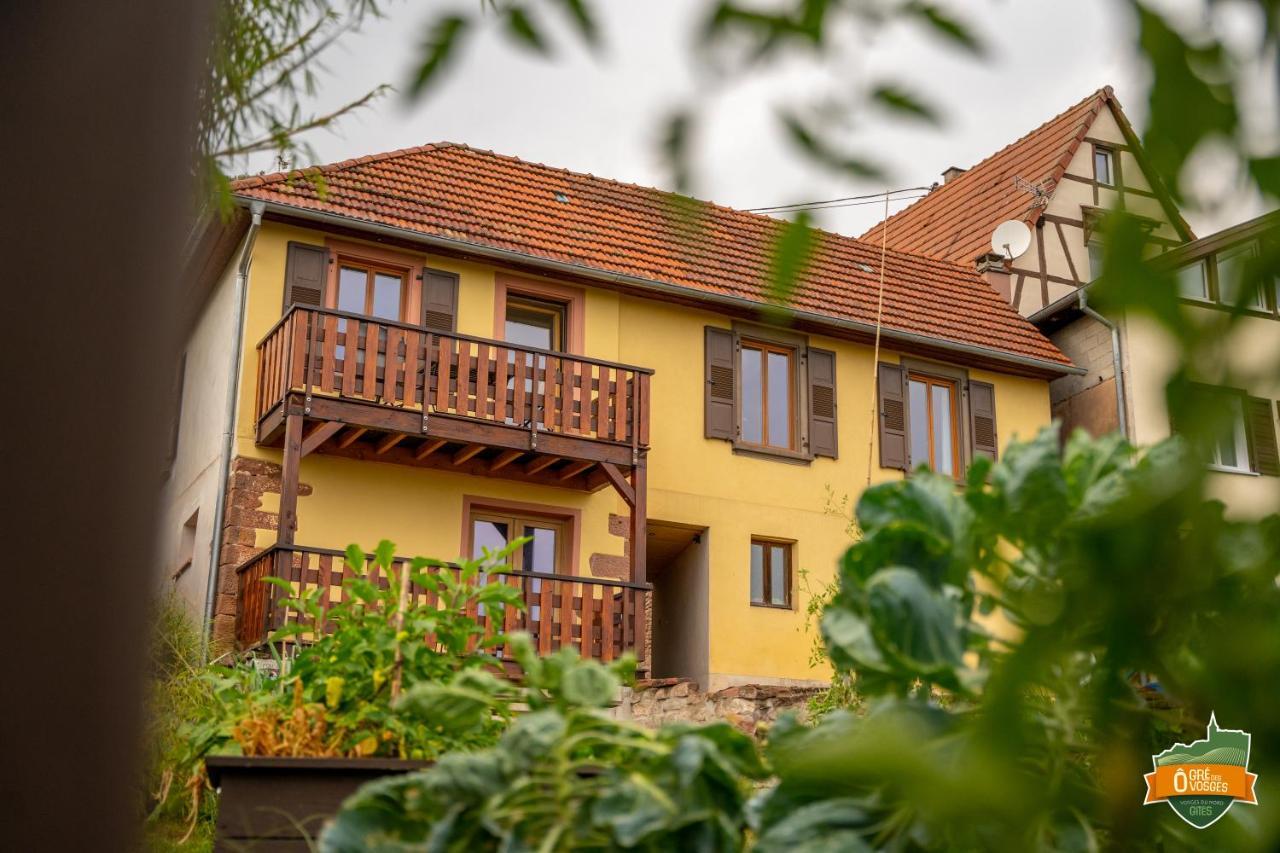 Gite O Gre Des Vosges 5 Etoiles Oberbronn, Vosges Du Nord Bagian luar foto