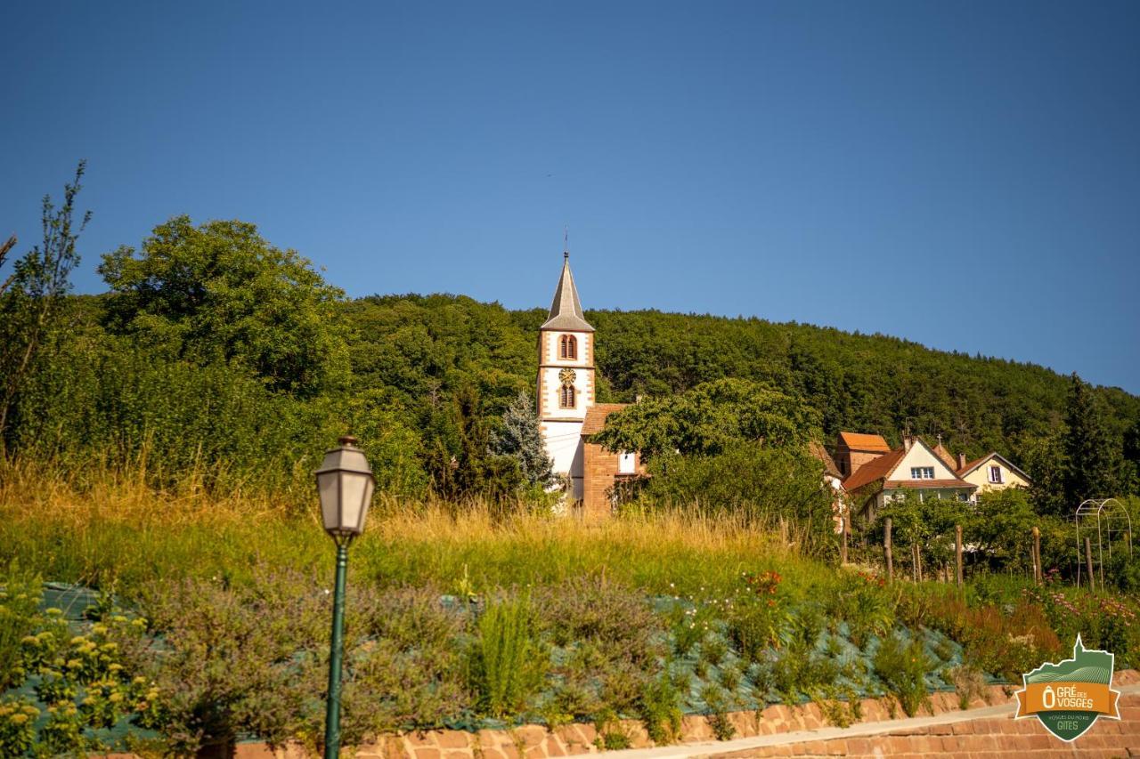Gite O Gre Des Vosges 5 Etoiles Oberbronn, Vosges Du Nord Bagian luar foto