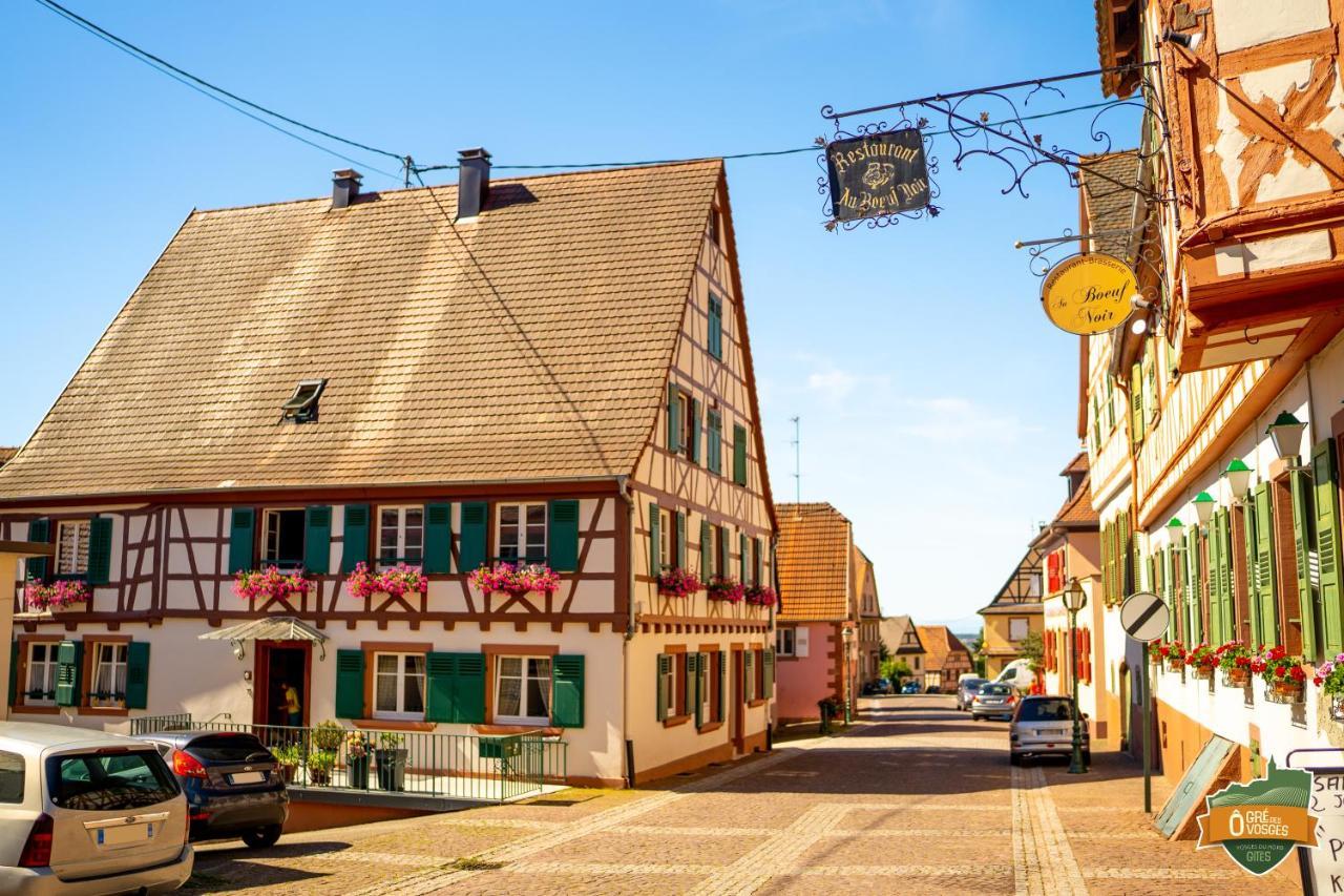 Gite O Gre Des Vosges 5 Etoiles Oberbronn, Vosges Du Nord Bagian luar foto