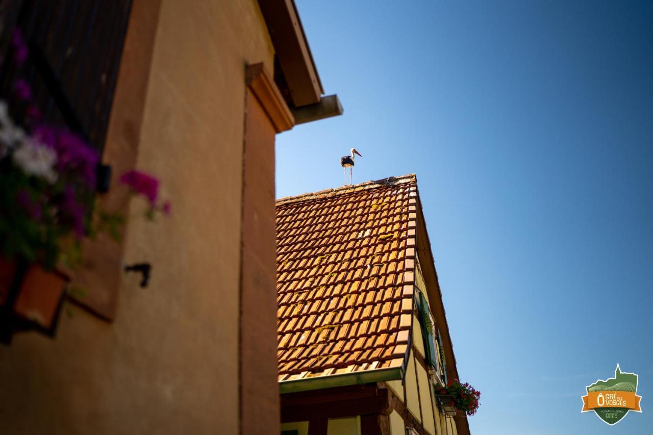 Gite O Gre Des Vosges 5 Etoiles Oberbronn, Vosges Du Nord Bagian luar foto