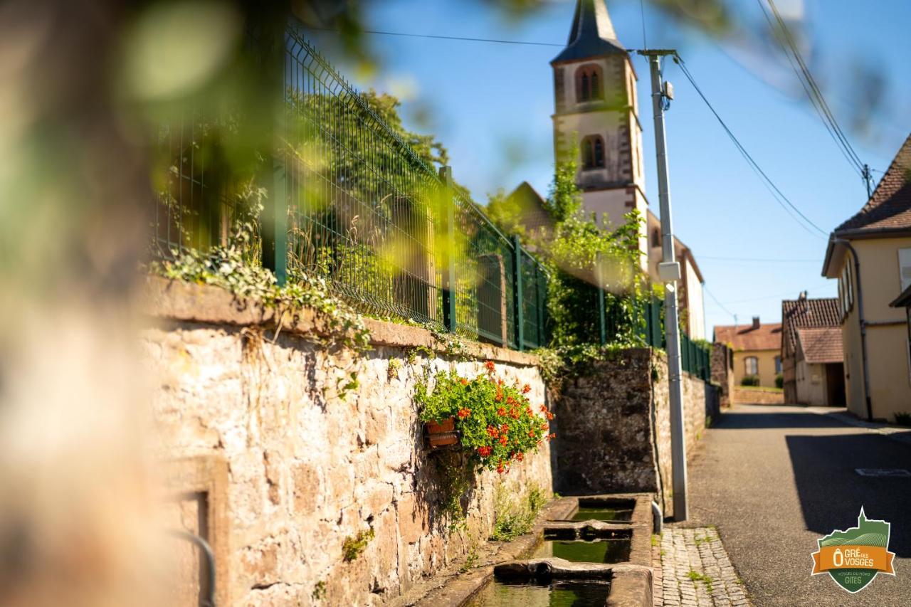 Gite O Gre Des Vosges 5 Etoiles Oberbronn, Vosges Du Nord Bagian luar foto